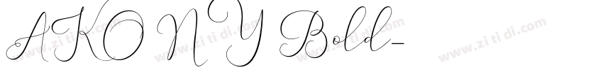 AKONY Bold字体转换